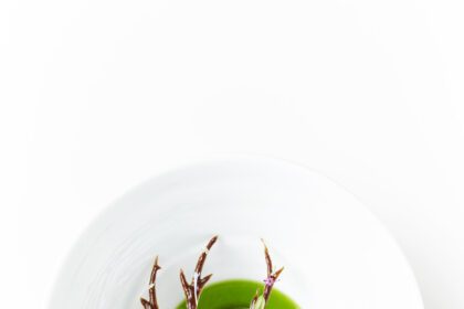 Reštaurácia Geranium