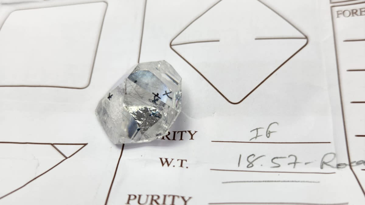 Obrázok 20240718 Wa0016 Orezané