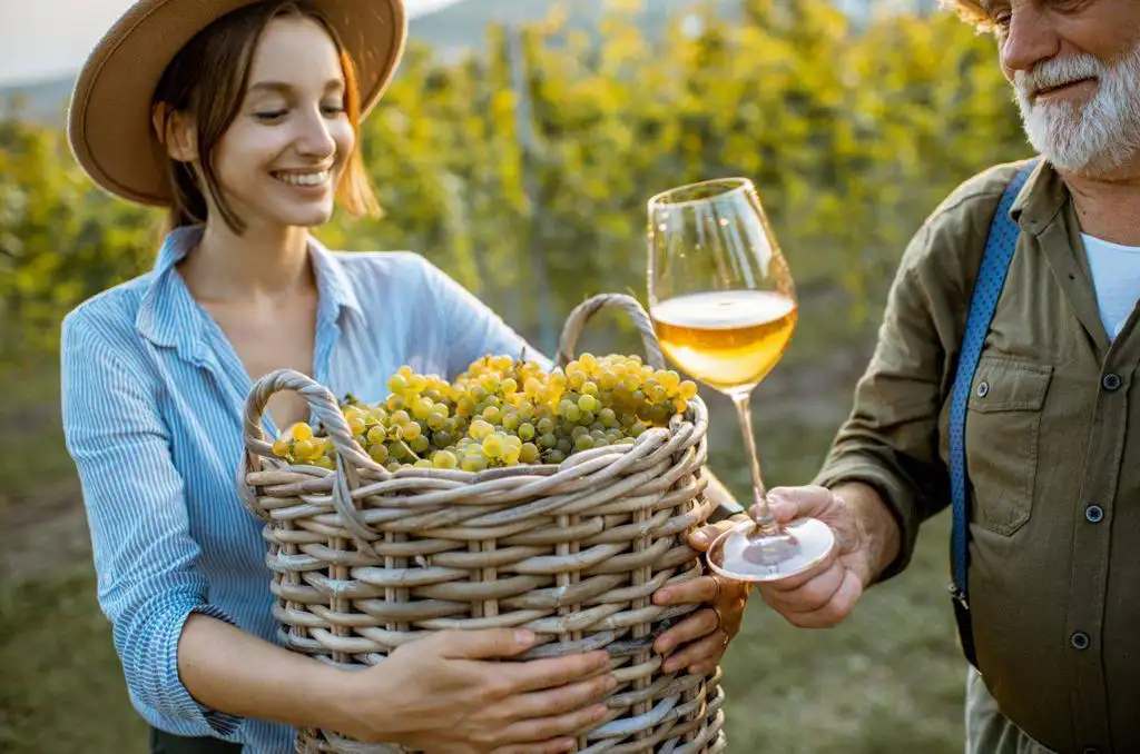 Digitalizácia trhu s vínom v Poľsku Technológie Výzvy a Budúcnosť