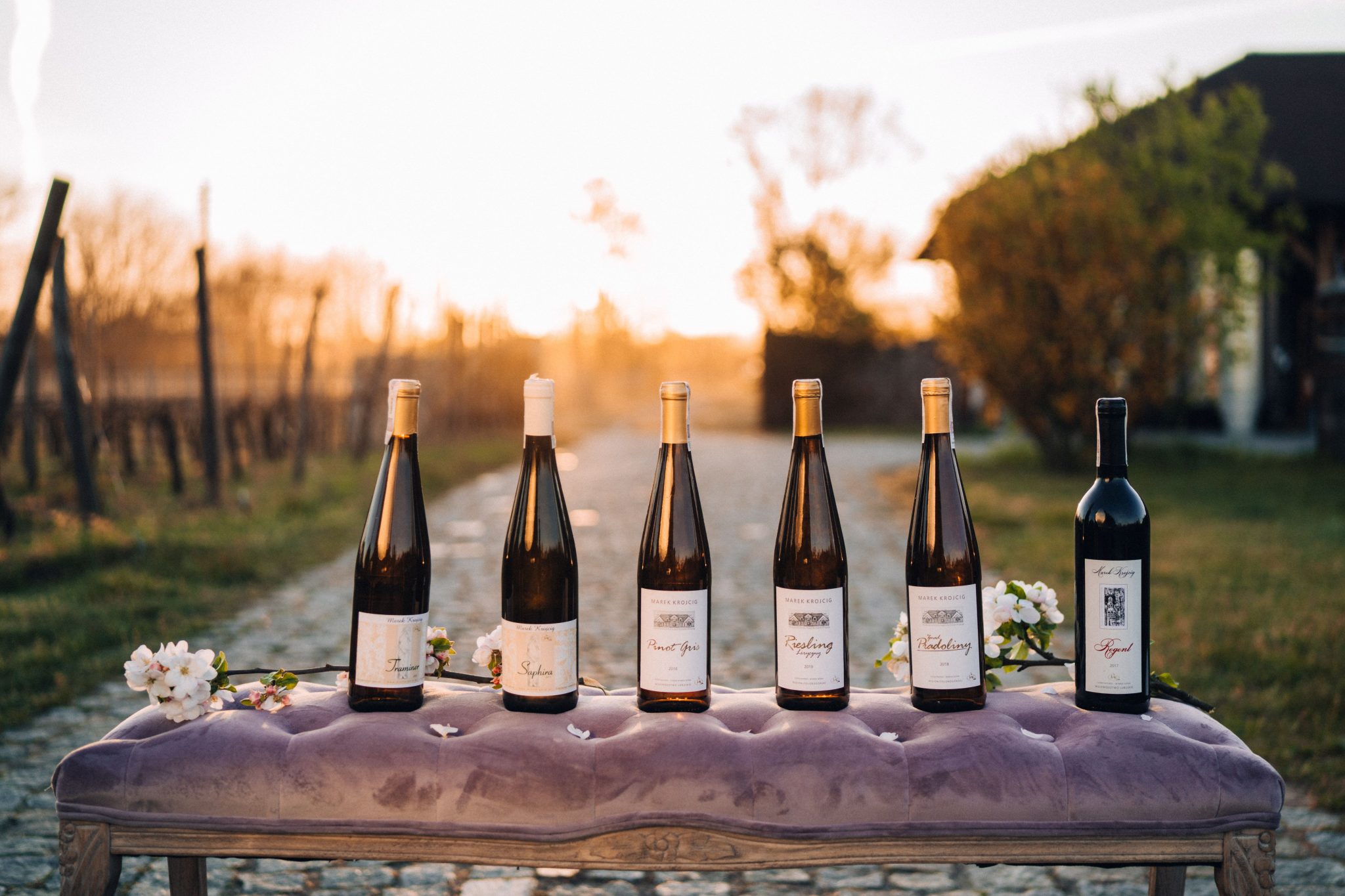 Vinice v Zielonej G&oacute;re