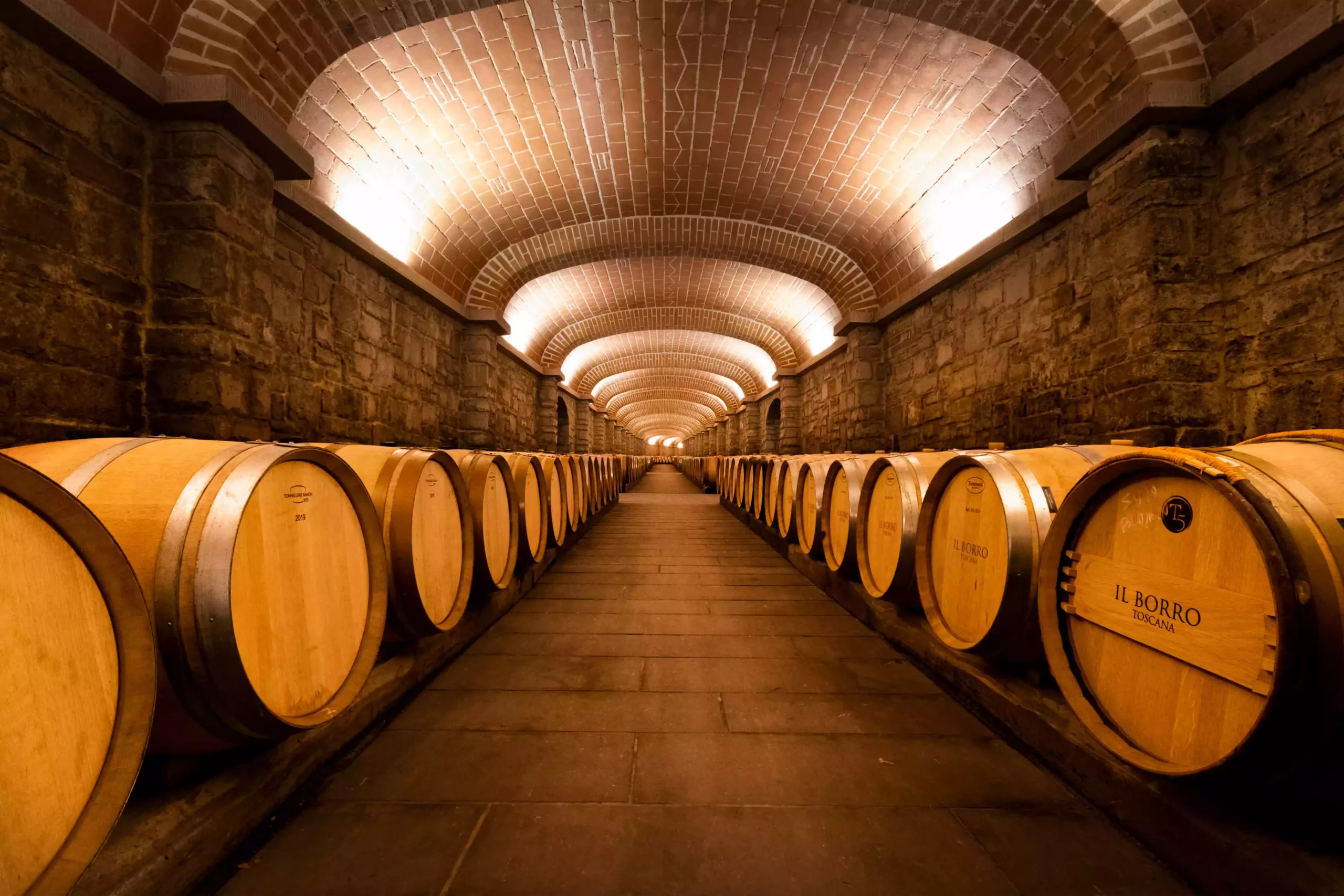 Vinice v Tosk&aacute;nsku Blog