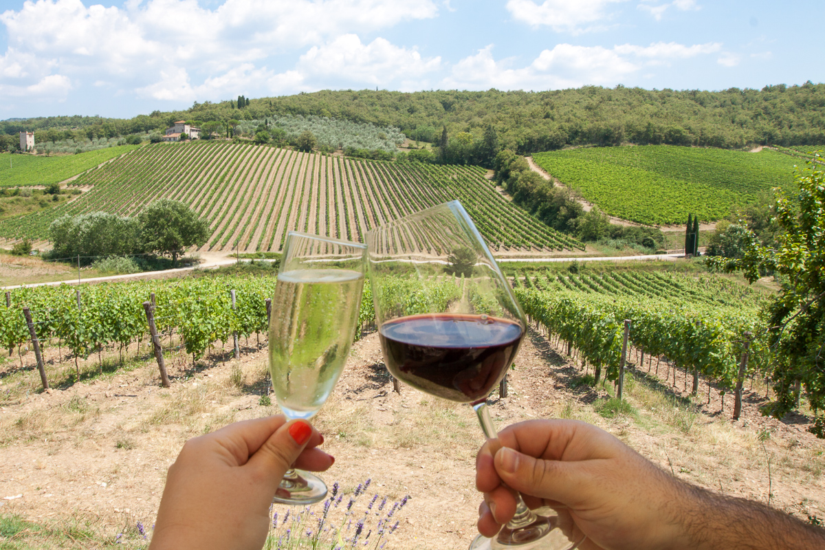 Vinice v Tosk&aacute;nsku