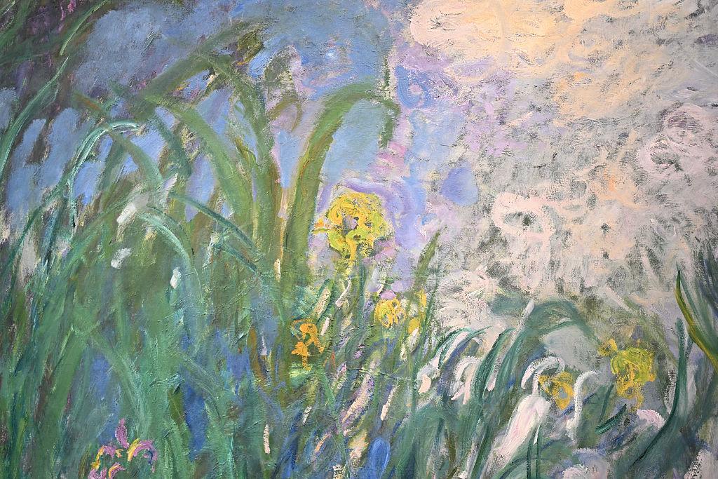 Monet Kosatce